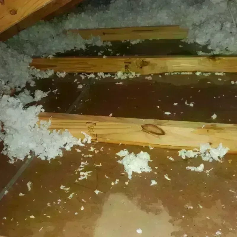 Attic Water Damage in Glen Cove, NY